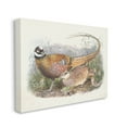 thumbnail image 4 of Stupell Industries Pheasant Family in Nature Animals & Insects Painting Gallery Wrapped Canvas Art Print Wall Art, 20 x 16, 4 of 8