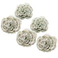 thumbnail image 2 of harmtty 5Pcs Fake Peony Heads Soft Table Centerpiece No-watering Wedding Party Fake Flowers Photograph Props, 2 of 8