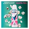 thumbnail image 4 of Antitranspirante Rexona powder dry en aerosol para dama 150 ml, 4 of 4