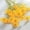 Yellow, variant on 5PC Small 5 Branch Decoration Props Flower Ferns for Outdoors Dark Flowers Dried Flowers in Vase Valentines Day Flowers Valentines Floral Centerpieces for Tables Wedding Aisle Flowers Silk Mum