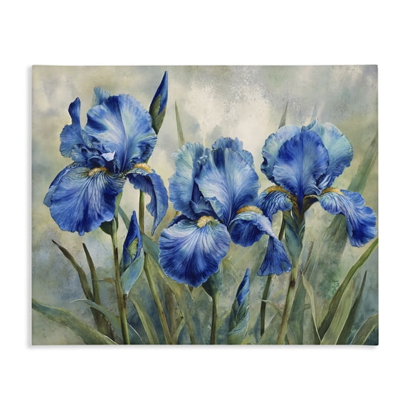Stupell Industries French Country Drawn Blue Iris Flowers Canvas Art, 20 x 16, by Franklyn Gregory