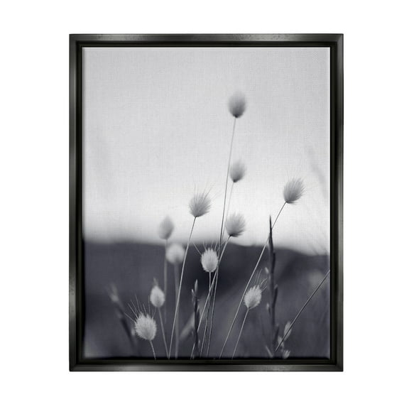 Stupell Industries Country Botanicals Photography Botanical & Floral Photography Black Floater Framed Art Print Wall Art, 17 x 21