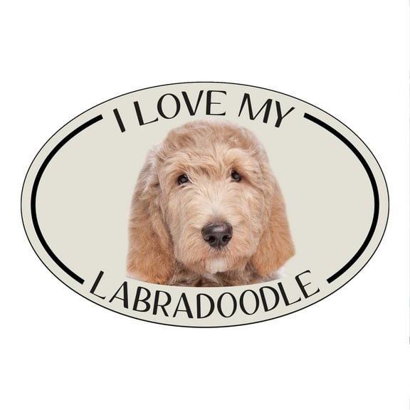 I Love my Labradoodle Breed Oval Magnet