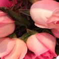thumbnail image 4 of Bouquet Rosa 6 tallos, 4 of 4