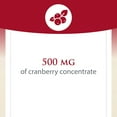 thumbnail image 4 of CranRich by Natural Factors, Super Strength Cranberry Concentrate, Antioxidant Supplement for Urinary Tract Support, Non-GMO, 180 Capsules, 4 of 10