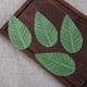 thumbnail image 2 of Paquete De 200 Accesorios De Cocina De Hoja Decorativa, Alfombrilla Para Comida, Herramientas De Calcomanía, Artesanía, Suministros De Sushi, Hojas Decorativas De Simulación De Hierba Guardurnaity HA036064-00, 2 of 6