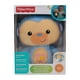 thumbnail image 1 of Juguete animalito Fisher-Price Brillos Luminosos Varios Modelos 1 Pieza, 1 of 4