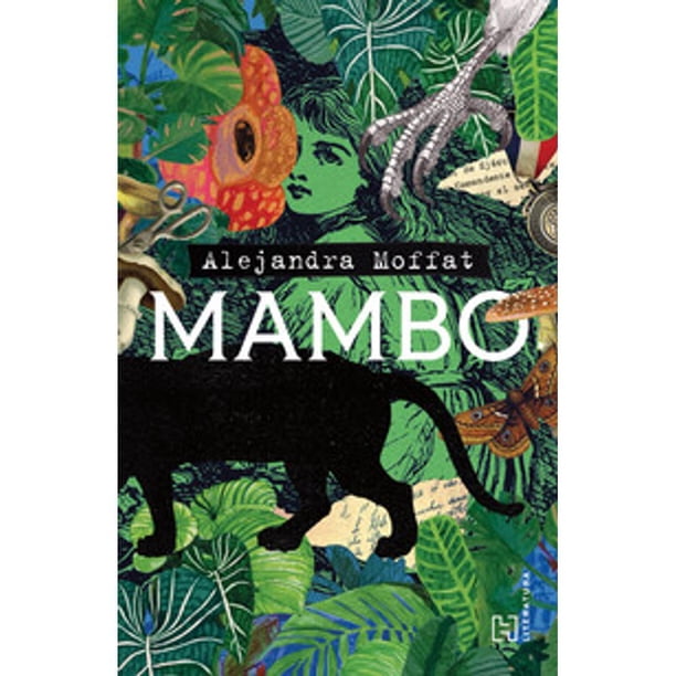 Libro Mambo Tapa Blanda, Autor Alejandra Moffat, Editorial Hachette Literatura