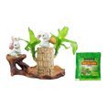 thumbnail image 1 of fsxdhpcsgfc 10ml Brazilian Wood 2025 New Fortune Brazil Wood Potted Brazilian Wood Hydroponic Brazilian Wood Mini Brazil Wood For Desktop Decoration With Tray Random Ornament Assortment Fancy, 1 of 7