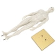 thumbnail image 2 of 30cm Male Anatomical Model Art Mannequin Musculoskeletal Structure Sculpture Body Model, 2 of 15