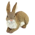 thumbnail image 3 of Design Toscano Bashful The Bunny Lying Down Garden Rabbit Statue, 3 of 7