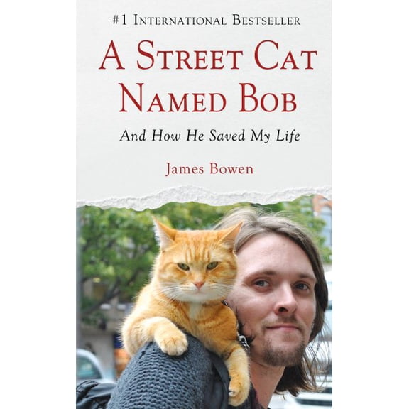 Pre-Owned A Street Cat Named Bob: And How He Saved My Life (Hardcover) 1410462307 9781410462305