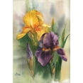 thumbnail image 2 of Besedina, Anastasiia 18x24 Gold Ornate Wood Framed with Double Matting Museum Art Print Titled - Yellow and Purple Iris, 2 of 4