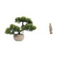 thumbnail image 1 of Escultura Bonsái De Vegetación Bendita, Planta Artificial, Exhibidor De Escritorio, Obra De Arte En Resina, Centro De Mesa Decorativo, Figura De La Virgen María, Colección Del Árbol De, 1 of 8