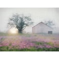 thumbnail image 2 of Deiter, Lori 14x12 Gold Ornate Wood Framed with Double Matting Museum Art Print Titled - Summer Sunrise, 2 of 4