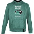thumbnail image 2 of Men's ProSphere Green Nichols College Bison Ice Hockey Name Drop Pullover Hoodie, 2 of 3