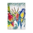 thumbnail image 1 of Betsy Drake KT217 Parrot Family Kitchen Towel, 1 of 1