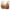 Brown, variant on CLOISE Bras for Women Push up No Underwire Full Coverage Padded Comfortable Bras with Sagging Breasts Black S-XL