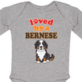 thumbnail image 4 of Inktastic Bernese Mountain Dog Lover Boys or Girls Long Sleeve Baby Bodysuit, 4 of 5