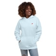thumbnail image 4 of Mount Fuji Landmark Cotton Blend Hoodie Sky Blue - XL, 4 of 4