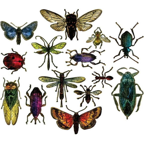 Sizzix Framelits Dies By Tim Holtz 14/Pkg-Entomology - 663068