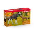 thumbnail image 6 of Schleich Wild Life Mother Moose and Calf Playset - North American Forest Animal Toys Playset with Realistic Natural Mother Moose and Baby Calf, Gift for Toddlers, Kids, Boys, and Girls Ages 3 and Up, 6 of 6