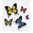 thumbnail image 2 of Ambesonne Butterfly Shower Curtain, Nature Moths Wings, 69"Wx84"L, Multicolor, 2 of 4