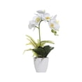 thumbnail image 1 of Monstrate Amplia aplicación de ABS y exquisitas flores artificiales no tóxicas hechas a mano con buena sensación de mano para decoración de Decoración  BF1912009 (341g) BF1912009 (341g), 1 of 6