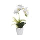 thumbnail image 2 of Bearachild ramo de flores artificiales duraderas aptas para mascotas decoración del hogar DIY BF1912009 341g, 2 of 6