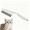 White, variant on Multifunctional Pet Comb,Flea Comb for Cats, Stainless Steel Fine-Tooth Grooming Massage Comb for Detangling Dog Cat Face & Paws