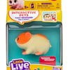 Chippee Hamster