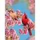 thumbnail image 2 of Cuadros Decorativos Cardenales navideños Punto de cruz completo 11CT Hilo de algodón DIY Kits impresos (2) Tmvgtek embutido en tela, 2 of 9