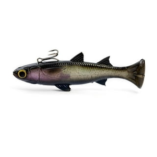 Big Bite Baits Pro Swimmer Paddle Tail Swimbait (Shad, 3.3 inch)