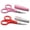 Pink+Red, variant on PAFASON Small Travel Craft Scissor Set Straight Precision Tip All Purpose for Scrapbooking Quilting Sewing Knitting Embroidery Cross Stitch Crochet Thread Yarn Paper Fabric Detail Cutting, Safety Cas