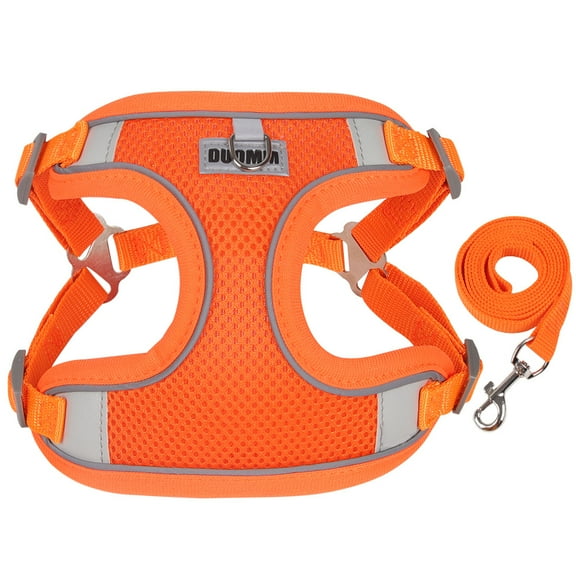 AIITLE No Pull Dog Harness and Leash Set, Step in Adjustable Dog Harness with Padded Vest for All Weather, Reflective Adjustable Pet Harness, Easy to Put on Small Dogs Blue