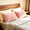 Light Pink, variant on Lorviah Standard Velvet Pillowcases 2 Pack, Ultra Soft Hidden Zipper Pillow Cover, Luxury Cozy Fuzzy Bedding, 20x26 Inches, Black