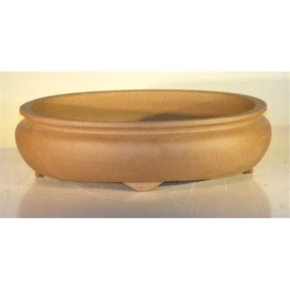 12 x 9,625 x 3,5 Po. Pot de Bonsaï en Céramique Non Émaillé Beige, Ovale