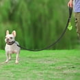 thumbnail image 3 of Double-Sided Reflective Dog Leash, 6 FT/5 FT/4 FT, Padded Handle Nylon Dogs Leashes for Medium & Large Dogs Walking, Black, 4FT, 3 of 5
