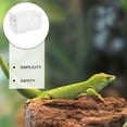 thumbnail image 3 of QUMIIRITY 1Pcs Transparent Reptile Breeding Case Acrylic Assorted Color for Insect Enthusiasts in Pet Breeding, 3 of 7