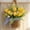 Yellow, variant on Gaiwos Artificial Tulip Flower Basket Wreath 12.2 inches, Yellow Tulip Door Hanging Basket Floral Wreaths with Blue and White Plaid Bow, Spring Front Door Wreath for Home Farmhouse Decor
