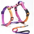 thumbnail image 1 of YIXIGGC Small Dog Harness and Leash Set, No Pull Dog Harness Adjustable Reflective, Dog Halter Harnesses Comfort Padded Handle, Pet Harness for Training Outdoor Walking（Mistyrose-S DYF329-2231, 1 of 7