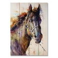 thumbnail image 2 of Day Dream DCBS1420 14 x 20 in. Black Stallion Wall Art, 2 of 3