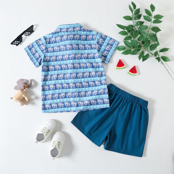 Vedolay Short Sets for Boy Casual Short Sleeve Tee and Shorts Sets,Blue 4-5 Years