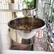 thumbnail image 5 of Dispensador de agua y comida para jaula de pájaros, comedero para loros, taza para jaula, recipiente de acero inoxidable para loros, guacamayos, hurones, periquitos, cacatúas y periquitos., 5 of 7