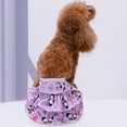 thumbnail image 4 of Bragas sanitarias para perros, pantalones cortos para pañales, bragas sanitarias, ropa interior impermeable para mujeres, bragas para pañales, calzoncillos para período, pantalones cortos fi, 4 of 5