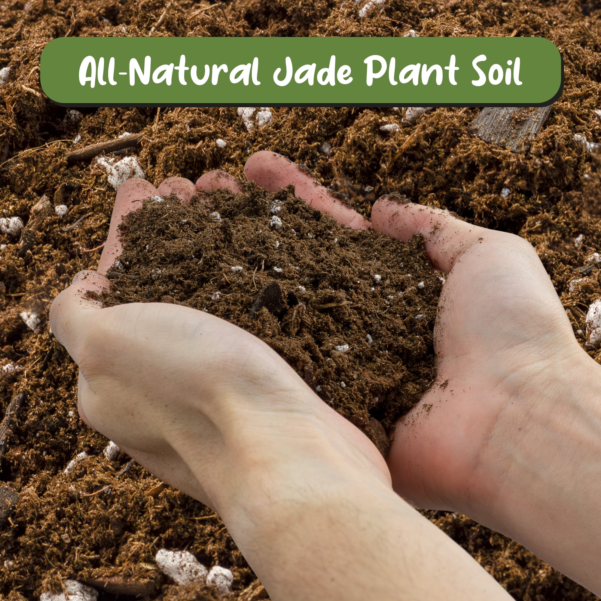 Soil Sunrise Indoor Jade Plant Potting Mix (8 Quarts), Hand Blended  Additive for Succulents - Walmart.com