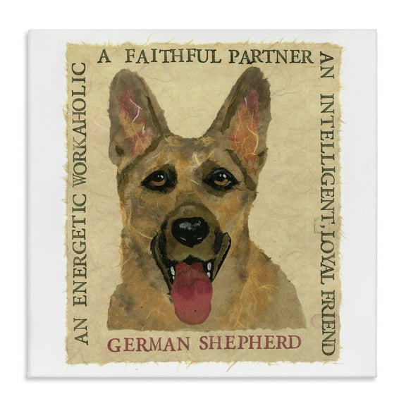 Stupell Industries Fun German Shepherd Phrases Animals Painting Wrapped Canvas Art Print Wall Art, 17 x 17