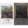 thumbnail image 2 of Caroline's Treasures 7144CNL Bird - Toucan Ceramic Night Light, 6x4x3", multicolor, 2 of 2