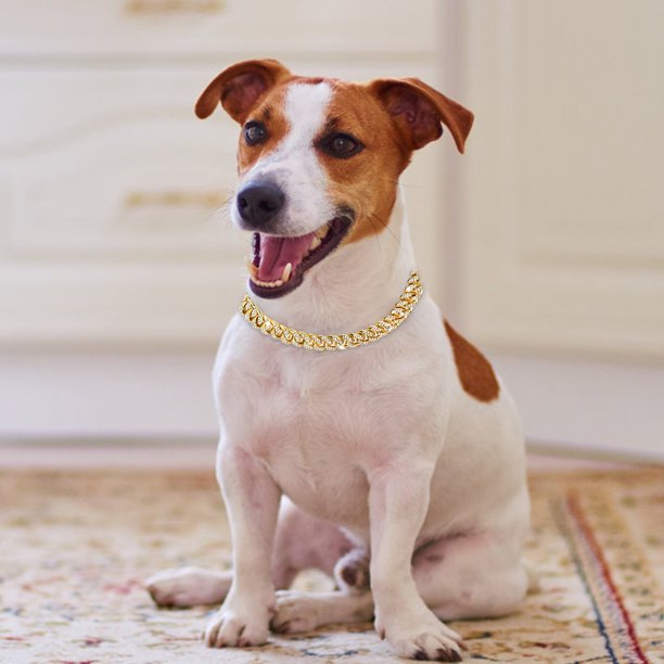 Collar de perros de dhinestone con cadena de perro de metal de moda segura (oro 8 pulgadas)