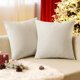 thumbnail image 1 of Cterwk - Juego de 2 fundas de cojín de terciopelo suave y liso, decorativas, cuadradas, para sofá, cama, coche, decoración del hogar, 45,7 x 45,7 cm, 1 of 7